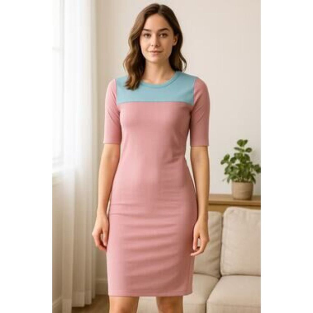 NWT LuLaRoe light pink and mint green Julia dress. Size XS